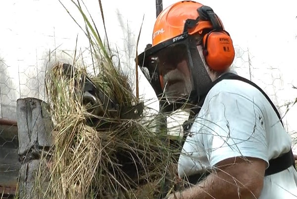 Clearing stalled brush cutter head of tangled grass
